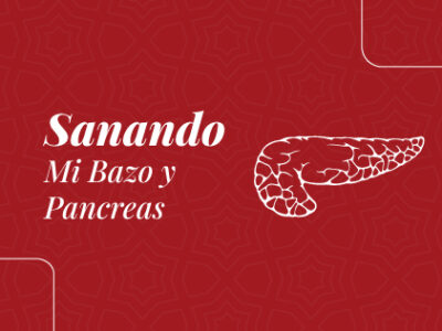 Mi Bazo y Pancreas