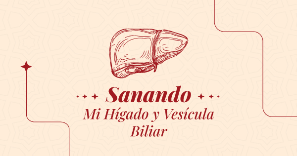 Sanando-mi-higado-y-vesicula-biliar