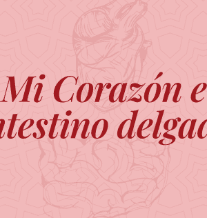 Mi Corazón e intestino x un año