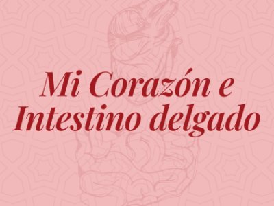 miniatura del curso