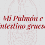 Mi Pulmón e Intestino Grueso