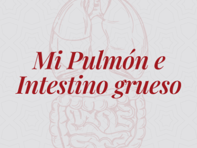 miniatura del curso