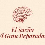 El Sueño: El gran Reparador