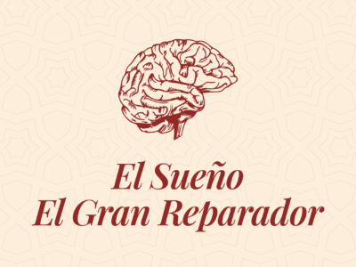 El Sueño: El gran Reparador